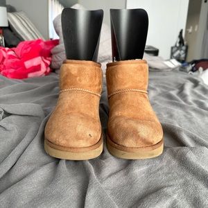 Size 8 chestnut mini UGG